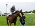  Carrera: P.Játiva Caballo: Haya Taal Monta: E.A Rodríguez